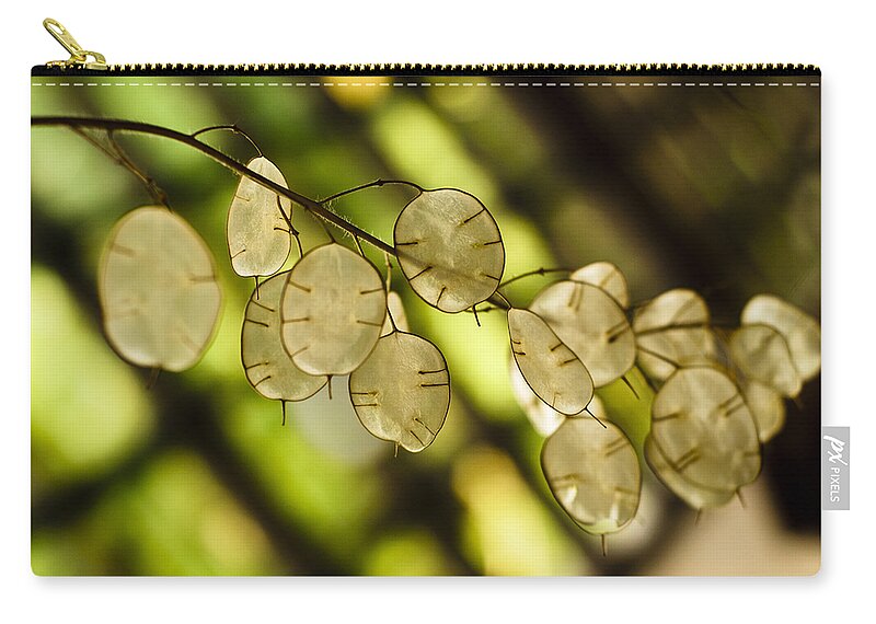 Backlit Carry-all Pouch featuring the photograph Money on Trees by Christi Kraft