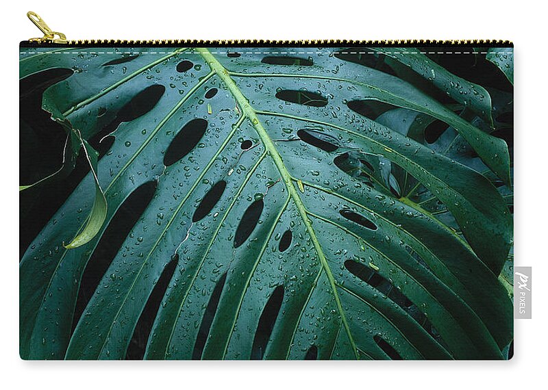 Monstera Plant Zip Pouch featuring the photograph Monstera Plant by Tracy Knauer