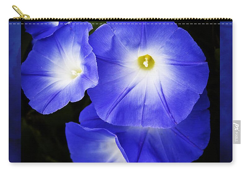 Morning Glory Zip Pouch featuring the photograph Moonglow on blue by Jeff Folger