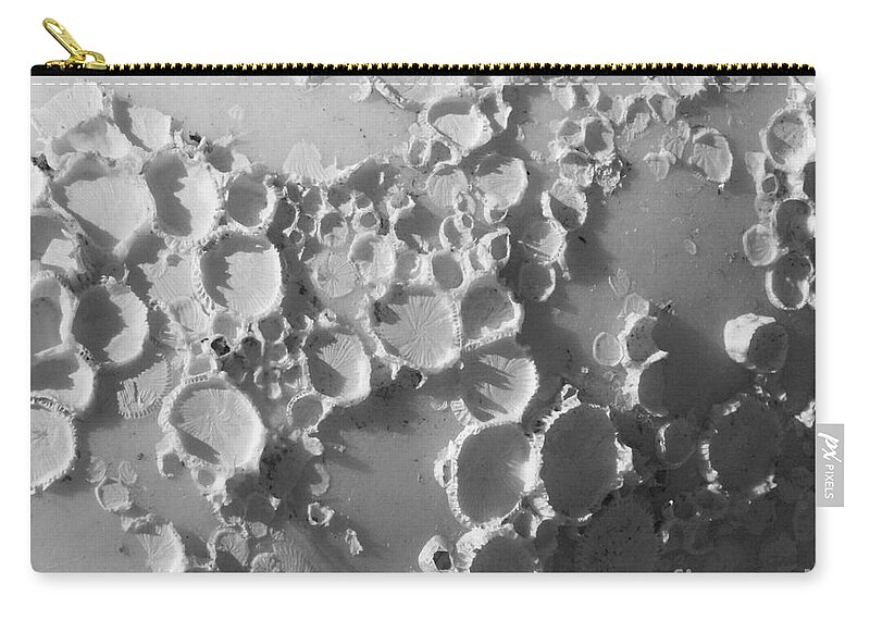Abstract Zip Pouch featuring the photograph Moonscape on a Seashell by Mariarosa Rockefeller