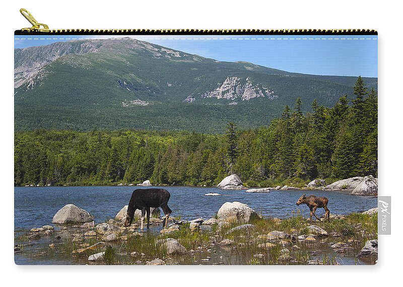 Moose Zip Pouch featuring the photograph Moose Baxter State Park Maine by Glenn Gordon