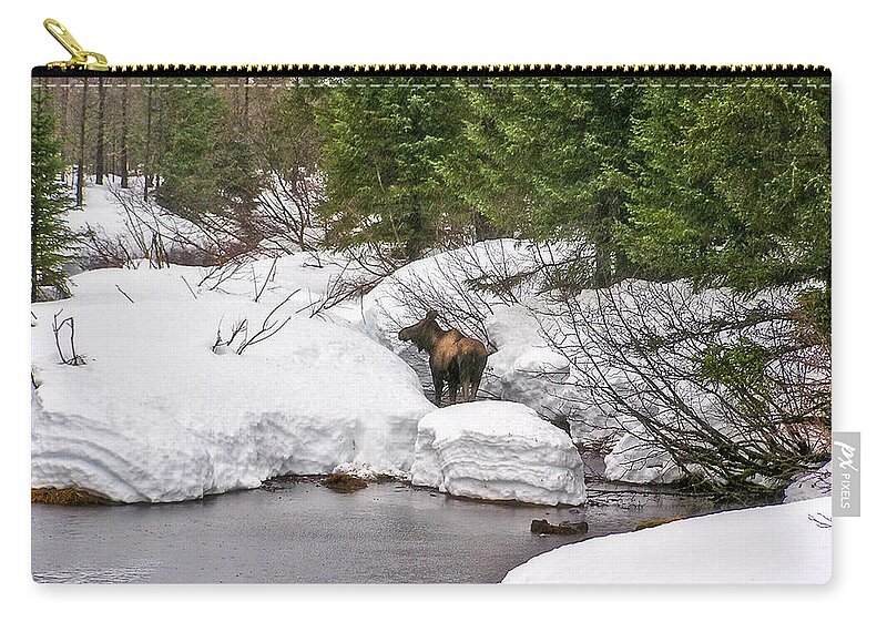 Moose Carry-all Pouch featuring the photograph Moose in Alaska by Amanda Smith