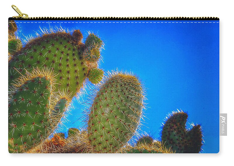 Cactus Zip Pouch featuring the photograph Morning Bristles by Bill Owen