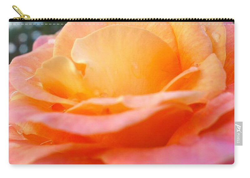  Zip Pouch featuring the photograph Morning Dew #3 by Jacqueline Athmann