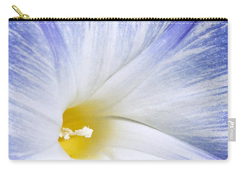 Morning Glory Zip Pouch featuring the photograph Morning Glory Flower by Patty Colabuono