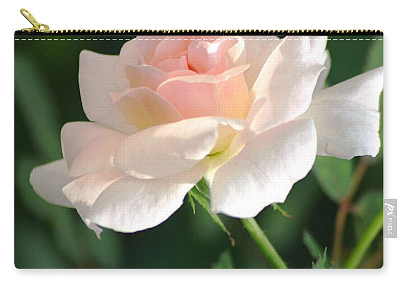 Rose Zip Pouch featuring the photograph Morning Has Broken by Living Color Photography Lorraine Lynch