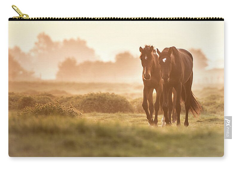 Horse Zip Pouch featuring the photograph Morning Horses by Ingeborg Ruyken Photography