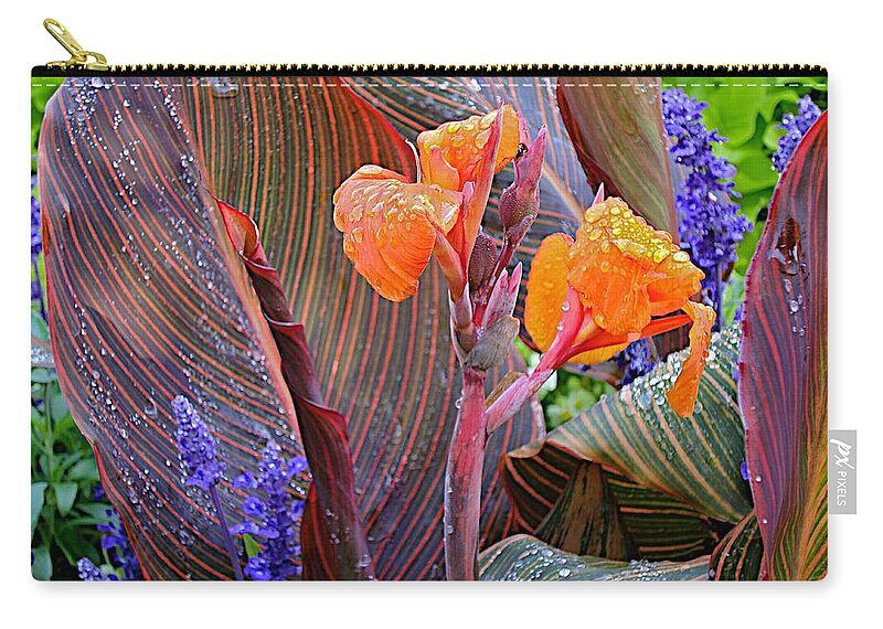 Cana Flowers Zip Pouch featuring the photograph Morning Rain by Joseph Yarbrough