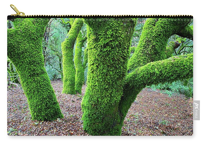 Tranquility Zip Pouch featuring the photograph Moss Covered California Live Oak Trees by Kirk Lougheed