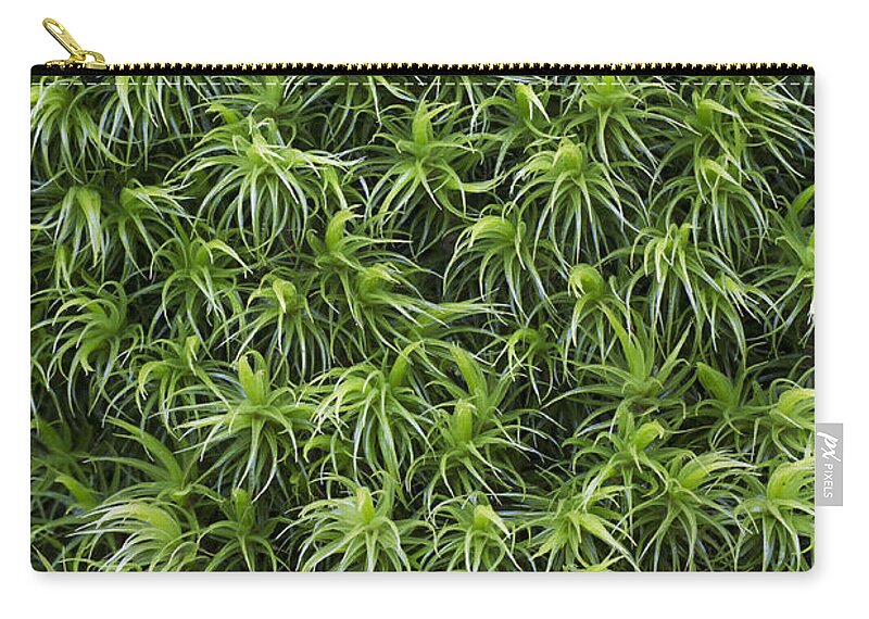 Helge Schulz Zip Pouch featuring the photograph Moss Schleswig-holstein Germany by Helge Schulz