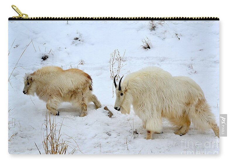 Mountain Goats Zip Pouch featuring the photograph Mother and Child by Dorrene BrownButterfield