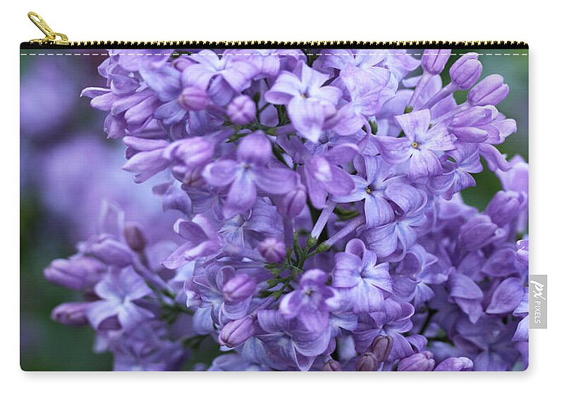 Lilacs Zip Pouch featuring the photograph Mothers Day Lilacs by Diana Haronis