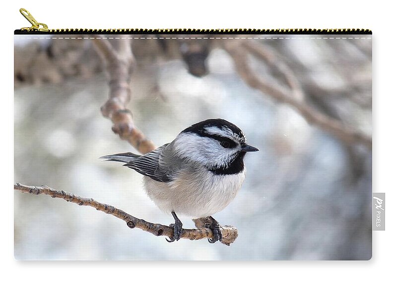 Colorado Zip Pouch featuring the photograph Mountain Chickadee on Branch by Marilyn Burton