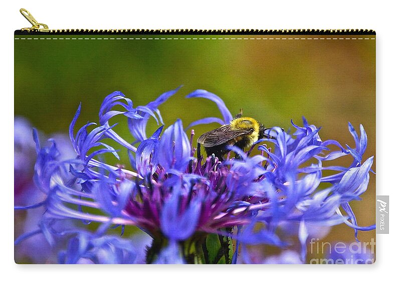 Mountain Cornflower Zip Pouch featuring the photograph Mountain Cornflower and Bumble Bee by Byron Varvarigos