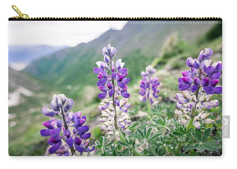 Alaska Zip Pouch featuring the photograph Mountain Lupine by Tim Newton