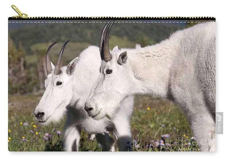 Mountain Goats Zip Pouch featuring the photograph Mountain Mamas by Deby Dixon