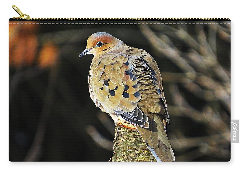 Mourning Dove Zip Pouch featuring the photograph Mourning Dove on Post by MTBobbins Photography