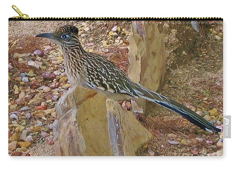 Roadrunner Zip Pouch featuring the photograph Mr. BeeP BeeP by Angela J Wright