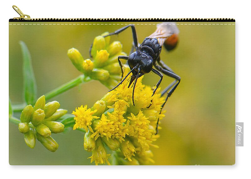 Mud Dauber Zip Pouch featuring the photograph Mud Dauber by Amy Porter