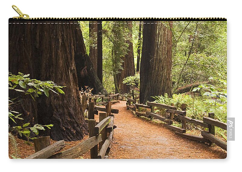 Muir Woods Zip Pouch featuring the photograph Muir Woods Trail by Sue Leonard