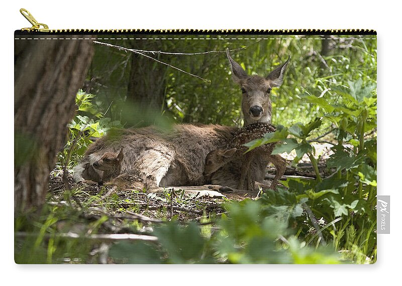 Animal Zip Pouch featuring the photograph Mule Deer With Fawns by Greg Ochocki