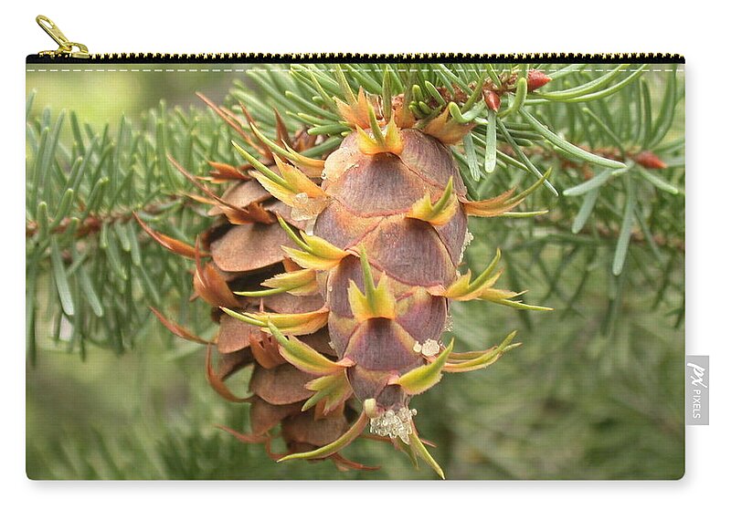 Pine Cone Zip Pouch featuring the photograph Multiple Generations by Shane Bechler