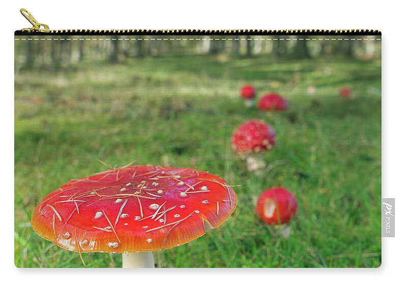 Scenics Zip Pouch featuring the photograph Muscaria Family by By Mediotuerto