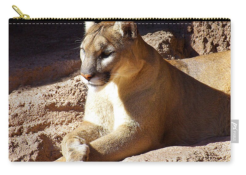 Museum Mascot Zip Pouch featuring the photograph Museum Mascot by Douglas Taylor
