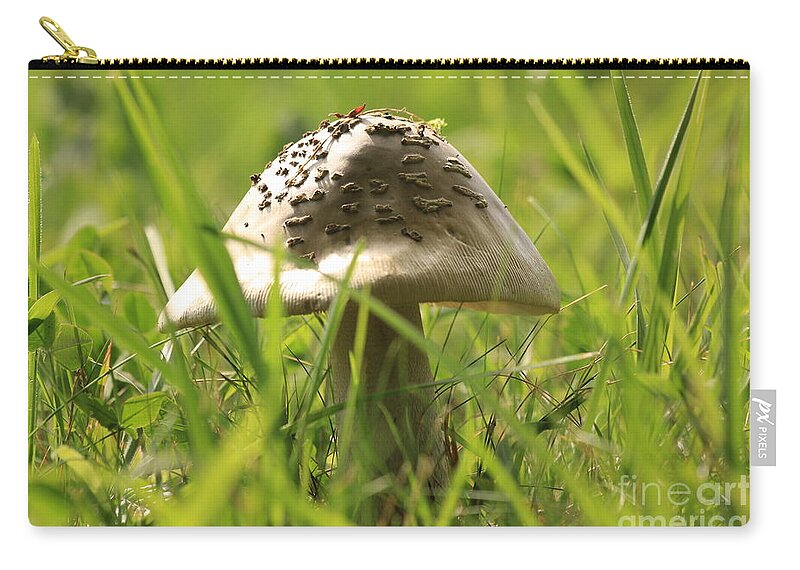 Agaric Zip Pouch featuring the photograph Mushroom in the grass by Amanda Mohler