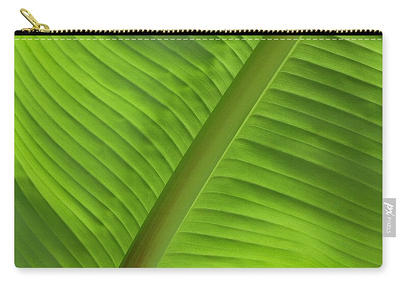 Banana Palms Zip Pouch featuring the photograph Music by Windy Osborn