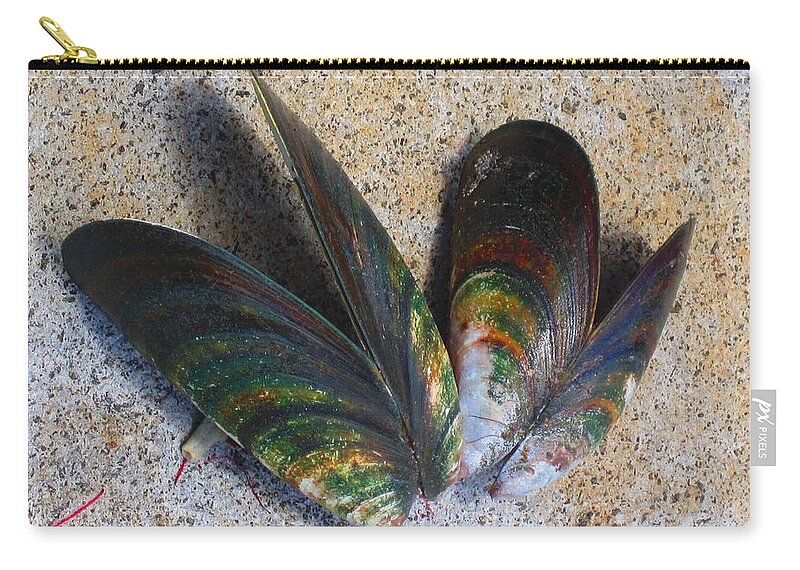 Mussels Zip Pouch featuring the photograph Mussel Shells No.1 by Ingrid Van Amsterdam