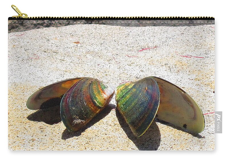 Mussels Zip Pouch featuring the photograph Mussel Shells No.2 by Ingrid Van Amsterdam