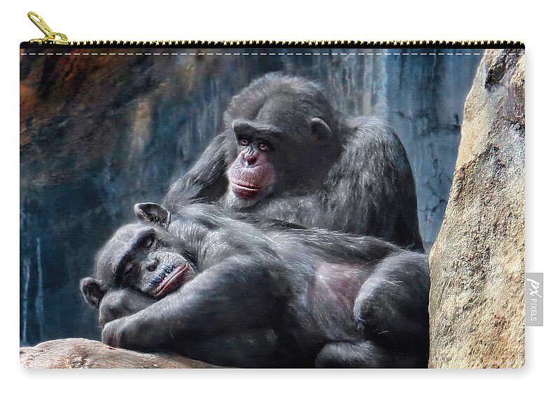 Chimpanzee Zip Pouch featuring the photograph Must Be Chimpanzee Love by Jennie Breeze