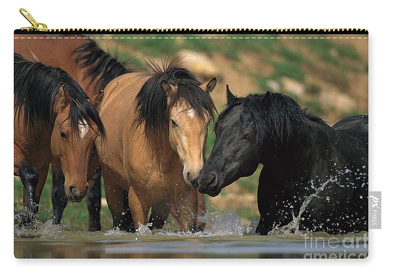 00340043 Carry-all Pouch featuring the photograph Mustangs At Waterhole In Summer by Yva Momatiuk and John Eastcott