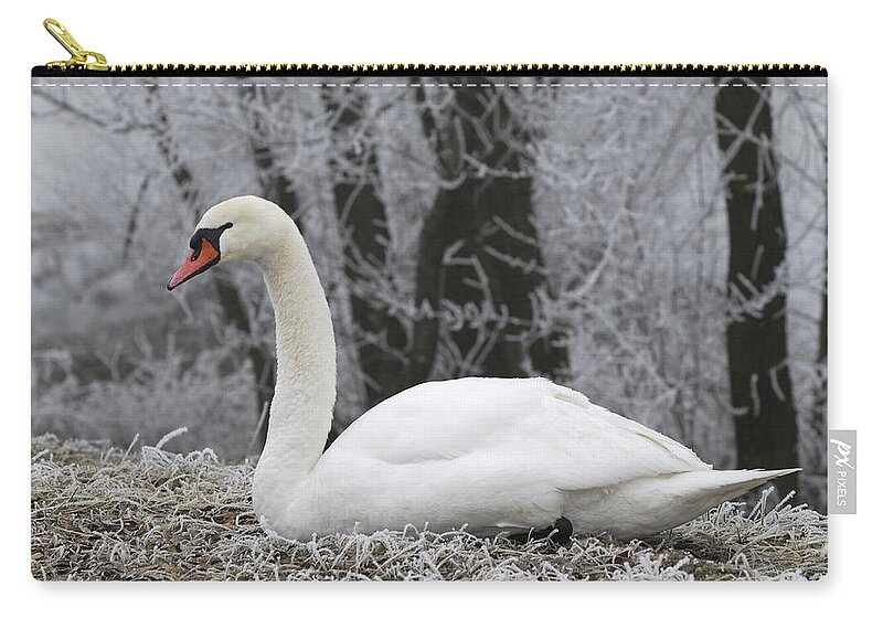 Feb0514 Zip Pouch featuring the photograph Mute Swan Switzerland by Thomas Marent