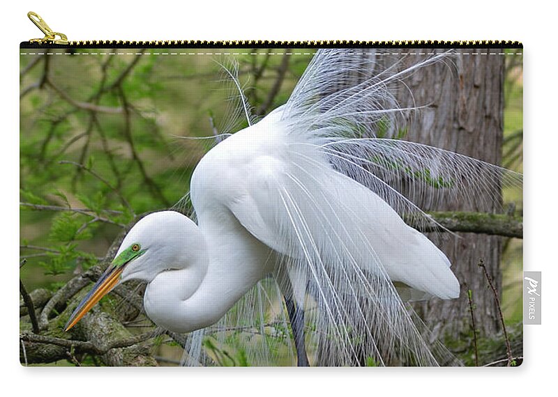 Egret Carry-all Pouch featuring the photograph My Beautiful Plumage by Kathy Baccari