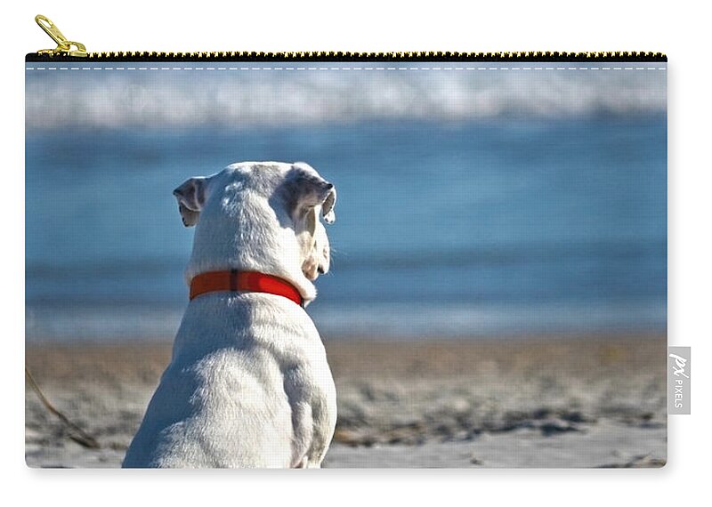 Dog Zip Pouch featuring the photograph My First Gift by Sandi OReilly