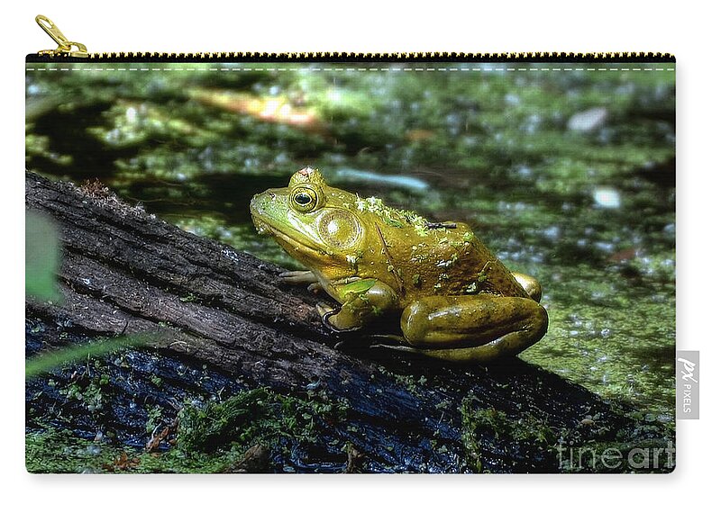Frog Carry-all Pouch featuring the photograph My Handsome Prince by Kathy Baccari