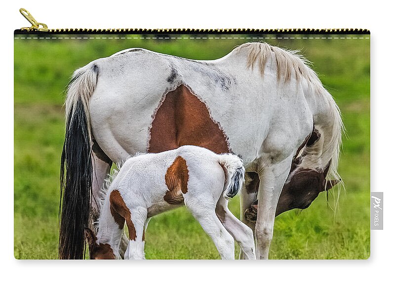 Colt Zip Pouch featuring the photograph My Little Pony by Paul Freidlund