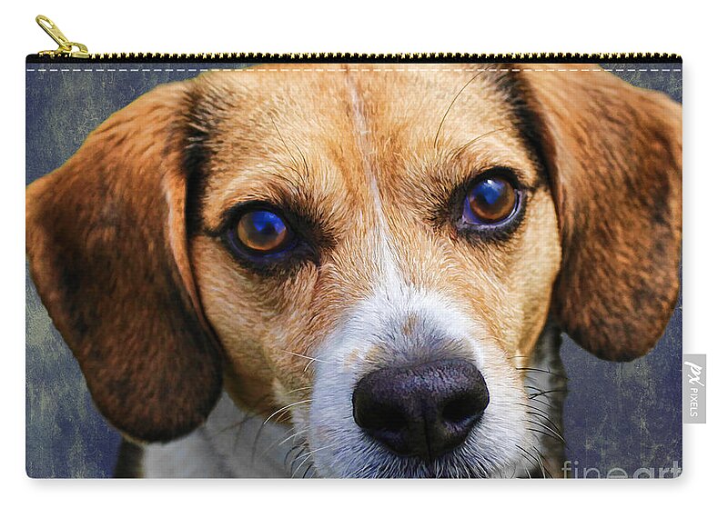 Beagle Zip Pouch featuring the photograph My Name Is Moose by Barbara McMahon