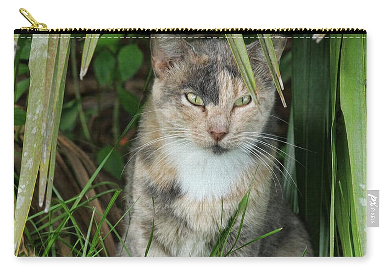 Cat Zip Pouch featuring the photograph My Private Place by Deborah Benoit