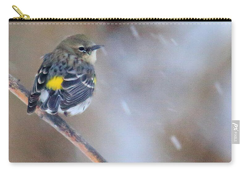 Myrtle Yellow-rumped Warbler Zip Pouch featuring the photograph Myrtle Yellow-rumped Warbler by PJQandFriends Photography
