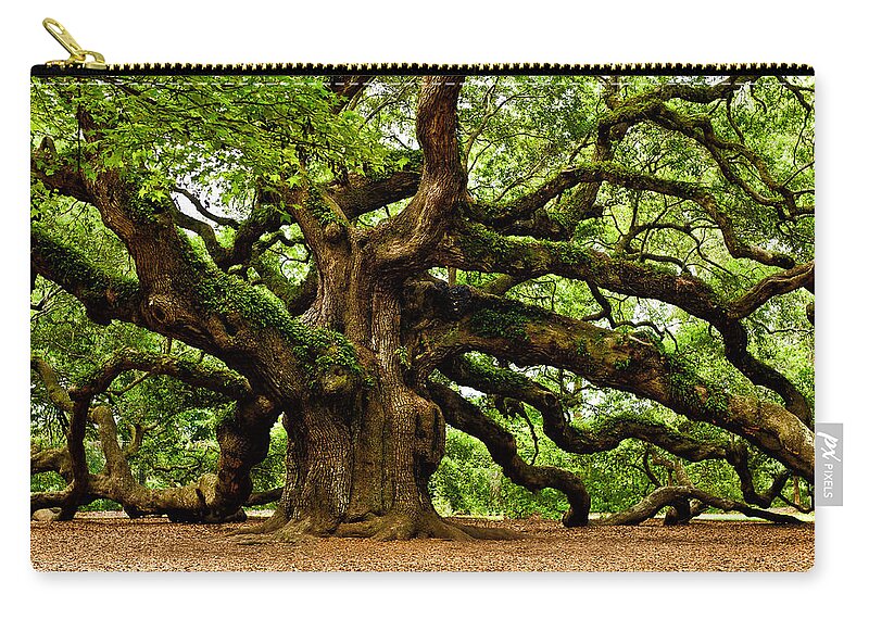  Johns Island Zip Pouch featuring the photograph Mystical Angel Oak Tree by Louis Dallara