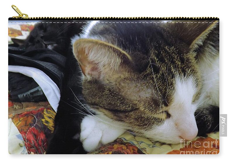 Cats Zip Pouch featuring the photograph Nap Time by Robyn King