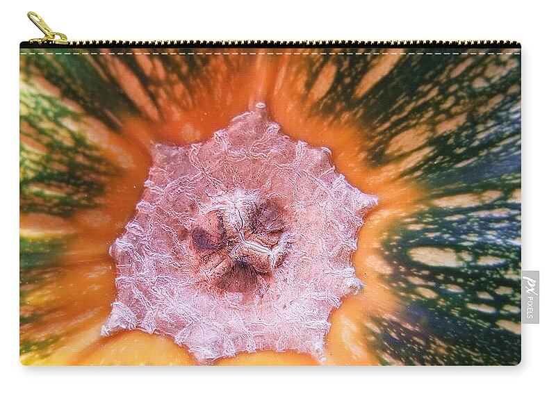 Nature Zip Pouch featuring the photograph Pumpkin Abstract by Kae Cheatham