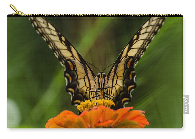 Insect Zip Pouch featuring the photograph Nature Stain Glass by Donna Brown
