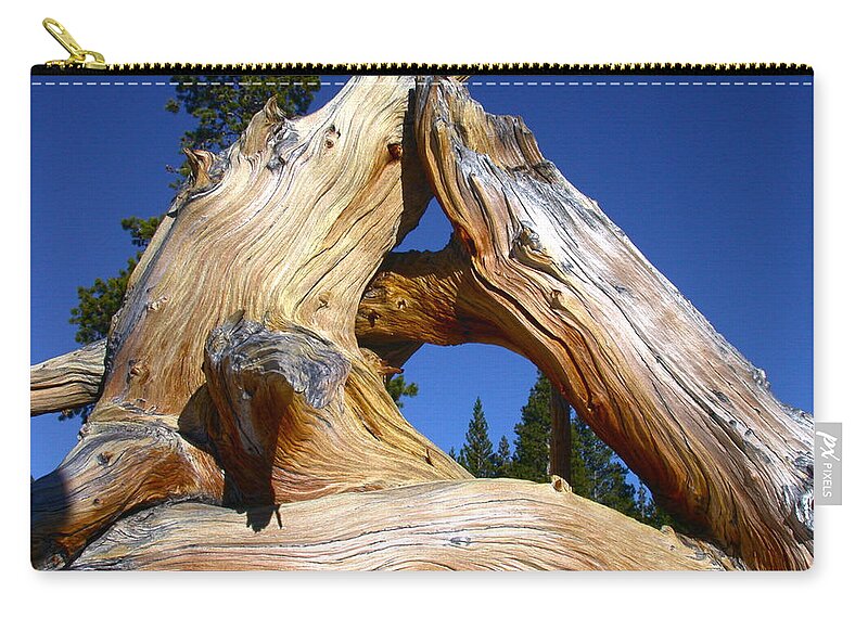 Triangle Zip Pouch featuring the photograph Nature's Triangle by Shane Bechler