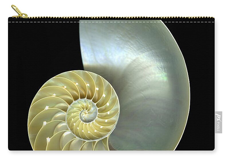 Mollusk Zip Pouch featuring the photograph Nautilus Shell Macro Closeup Isolated by Csphoto