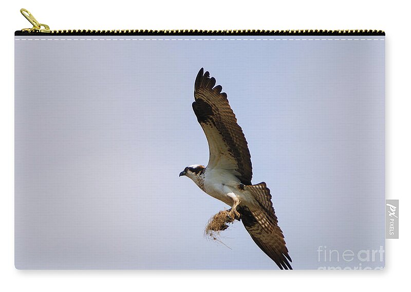 Osprey Zip Pouch featuring the photograph Nest Builder by Michael Dawson