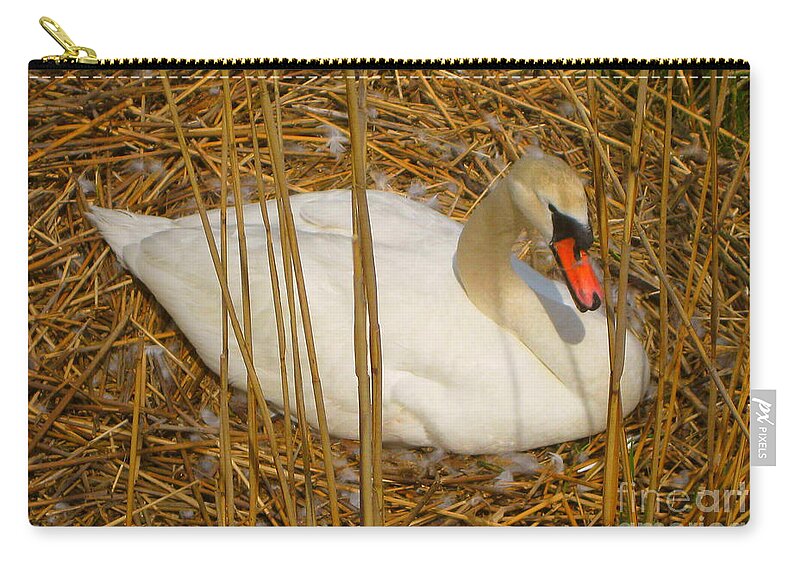 Swan Zip Pouch featuring the photograph Nesting Swan by Judy Palkimas
